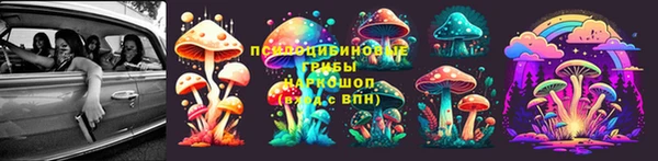 mix Богородицк